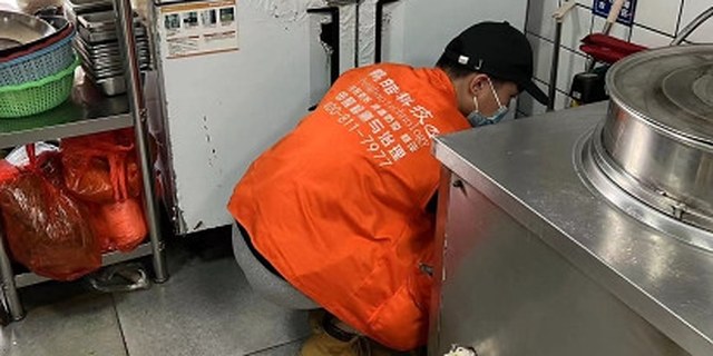 施工实录｜餐饮门店病媒生物防制：厨房与后厨通道的重点处理